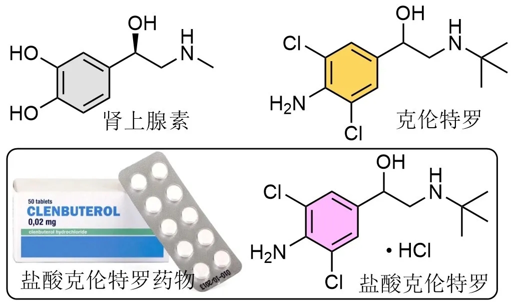 危害健康的瘦肉精克伦特罗